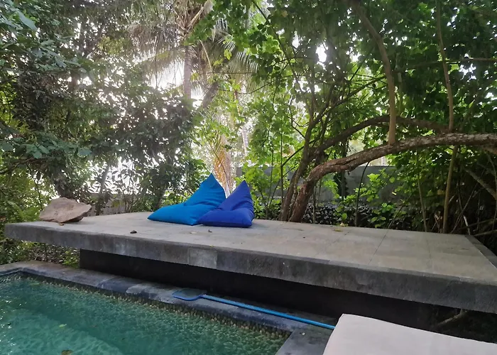 Eco House Bali * Penginuman