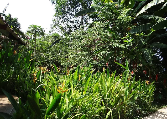 別荘 Eco House Bali Penginuman