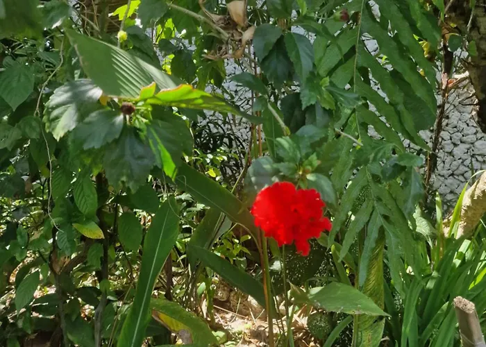 別荘 Eco House Bali