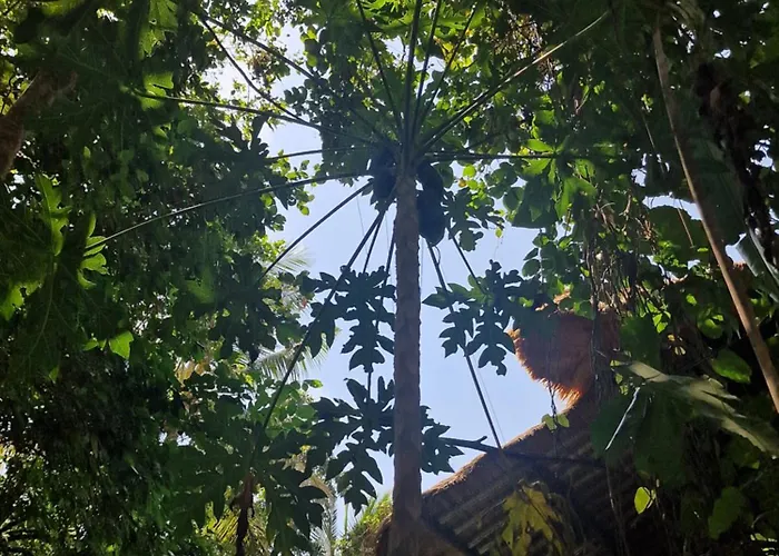 Eco House Bali 別荘