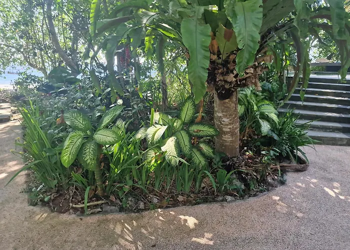 別荘 Eco House Bali