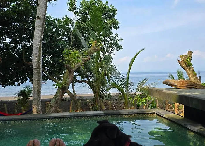 Eco House Bali 別荘 *